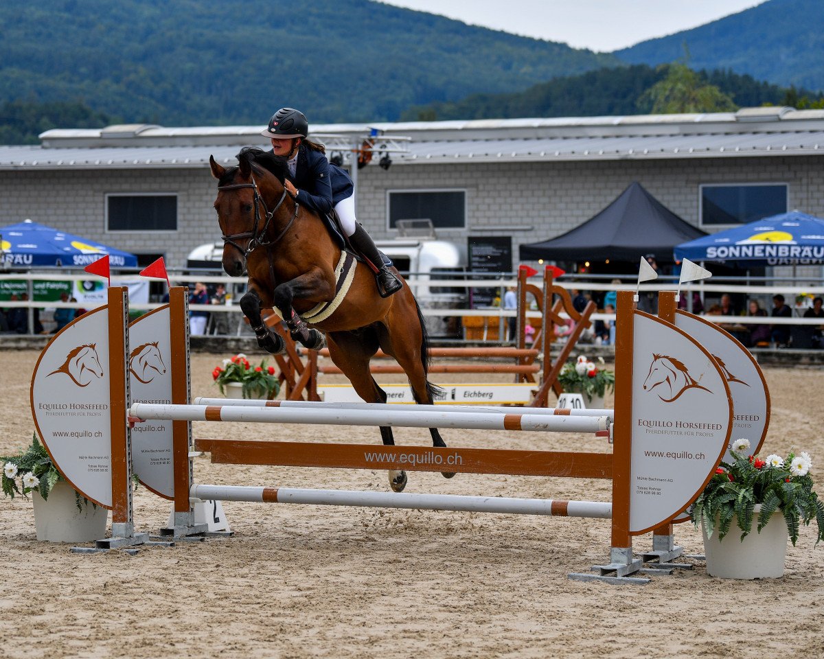 Springpferd Choupa de La Reselle CH (Schweizer Warmblut, 2016, von Chouchou de La Reselle CH)