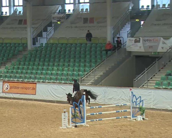 Reitturnier Kreuth/Opf. 2025