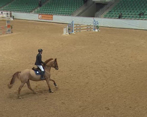 Reitturnier Kreuth/Opf. 2025