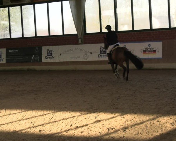 Reitturnier Heiden 2025