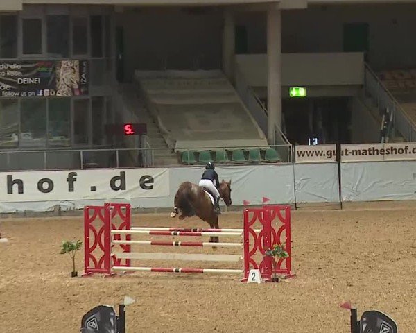 Reitturnier Kreuth/Opf. 2025