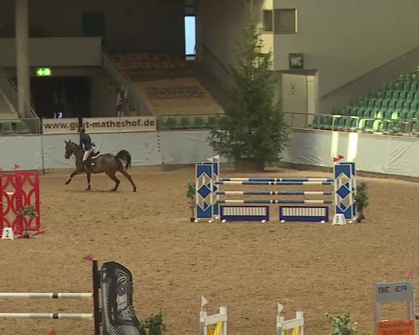 Reitturnier Kreuth/Opf. 2025