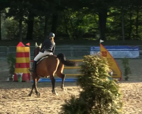 Mönchengladbach-Wickrather Reitertage 2013