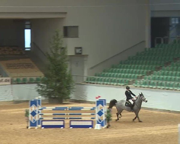Reitturnier Kreuth/Opf. 2025