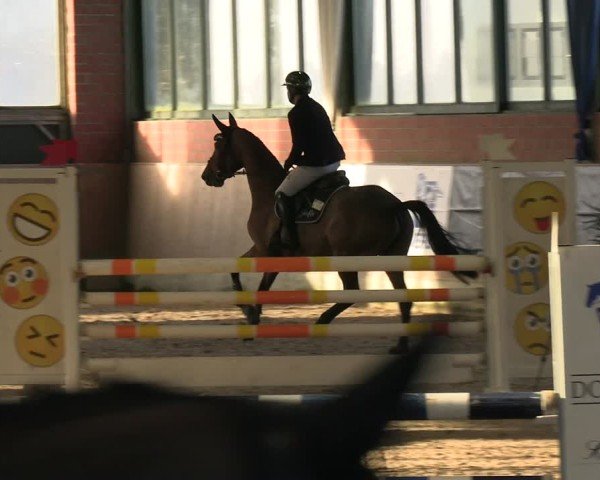 Reitturnier Heiden 2025