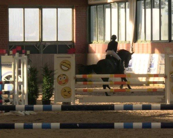 Reitturnier Heiden 2025
