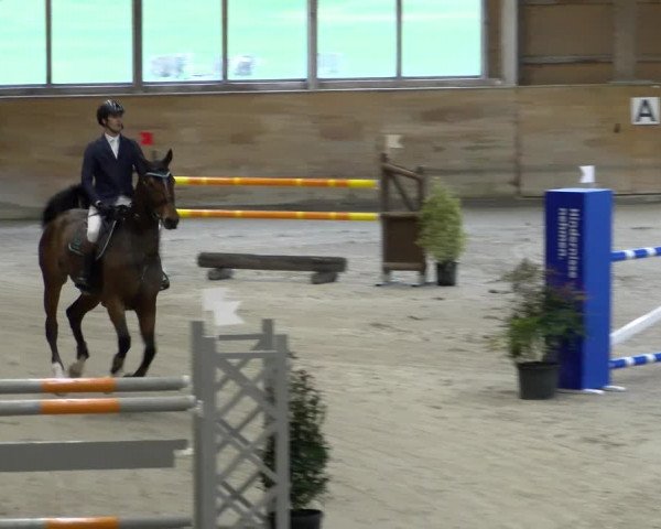 Reitturnier Rüti 2021