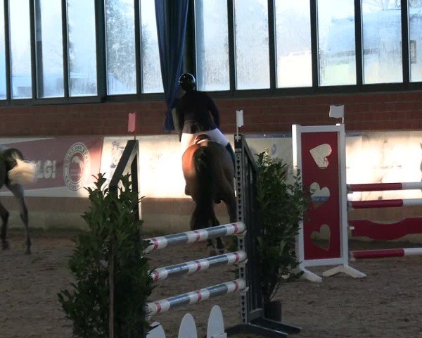 Reitturnier Heiden 2025