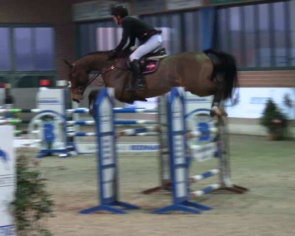 Reitturnier Heiden 2025