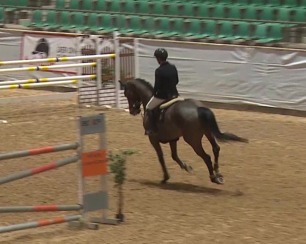 Reitturnier Kreuth/Opf. 2025