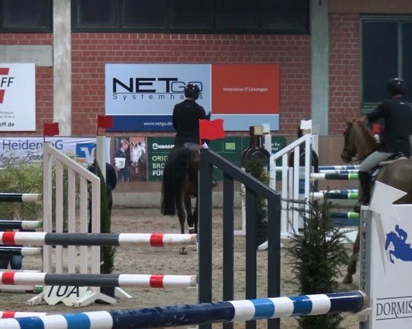 Reitturnier Heiden 2025