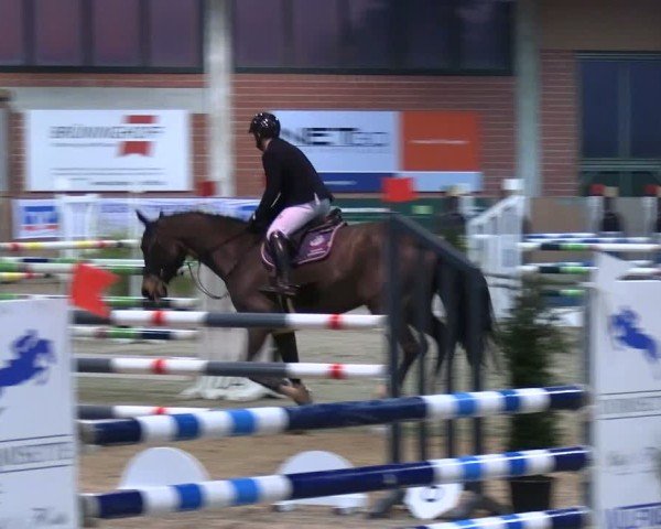Reitturnier Heiden 2025
