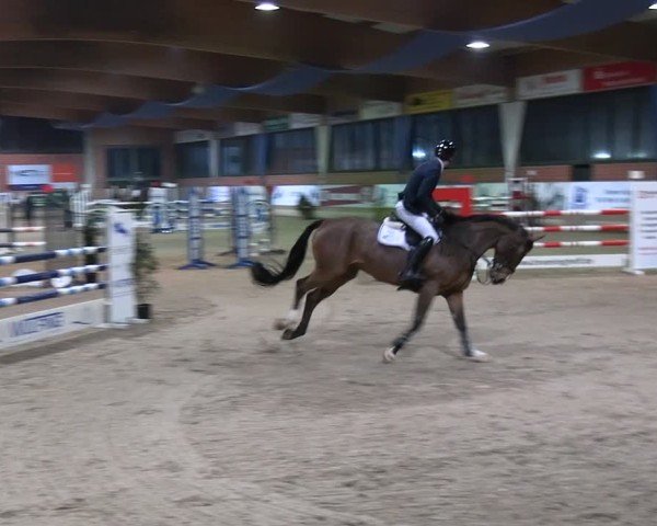 Reitturnier Heiden 2025