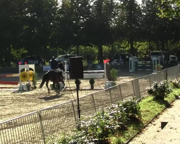Mönchengladbach-Wickrather Reitertage 2013