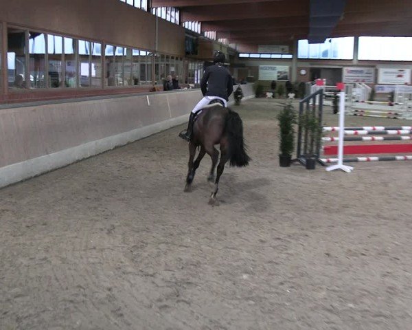 Reitturnier Heiden 2025