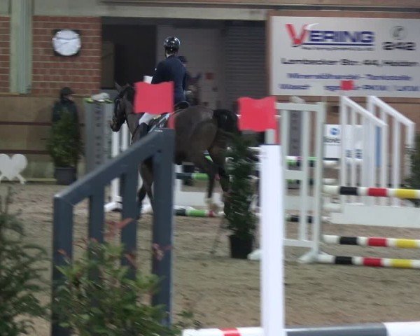 Reitturnier Heiden 2025