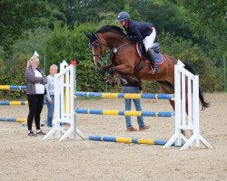 jumper Bella Cornetta (Westphalian, 2015, from Balous Bellini)