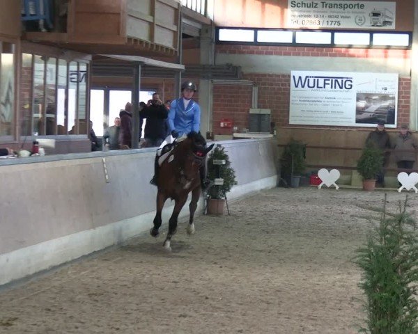 Reitturnier Heiden 2025
