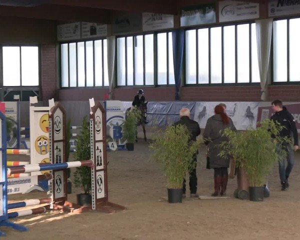 Reitturnier Heiden 2025