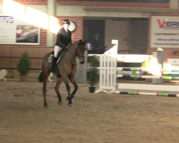 Reitturnier Heiden 2025