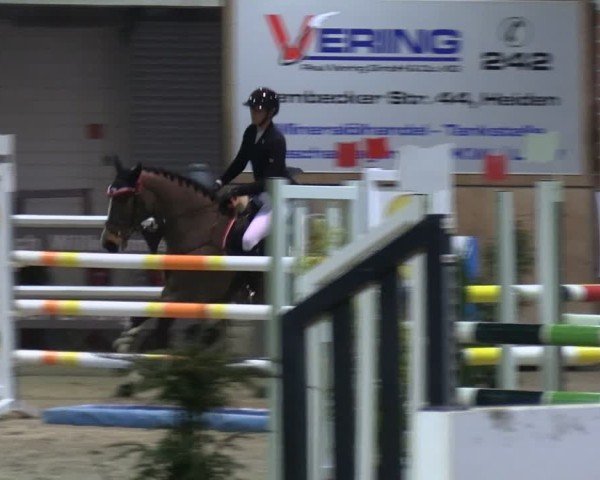 Reitturnier Heiden 2025