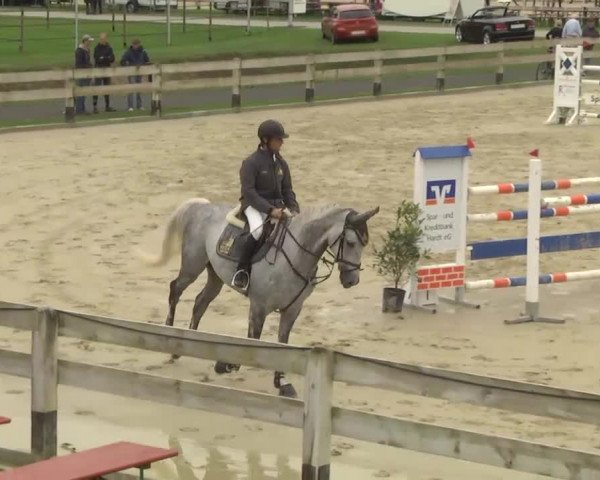 Springturnier Hubertushof RSG Linkenheim-Hochstetten 2013