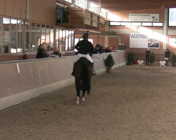 Reitturnier Heiden 2025