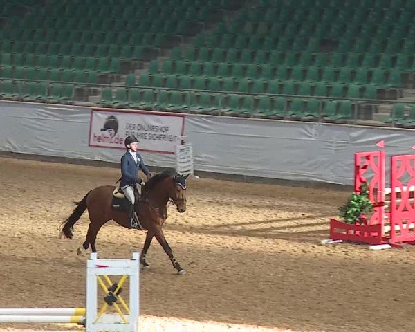 Reitturnier Kreuth/Opf. 2025