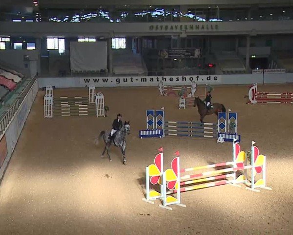 Reitturnier Kreuth/Opf. 2025