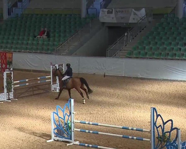 Reitturnier Kreuth/Opf. 2025