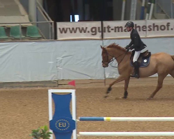 Reitturnier Kreuth/Opf. 2025