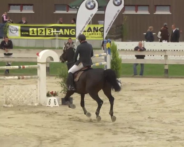 Springturnier Hubertushof RSG Linkenheim-Hochstetten 2013