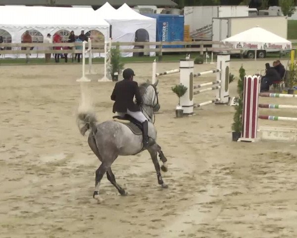 Reitturnier Linkenheim-Hochstetten 2013