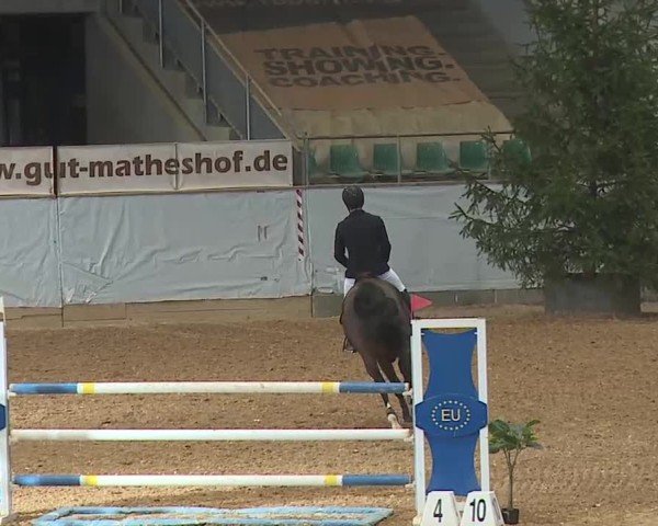 Reitturnier Kreuth/Opf. 2025