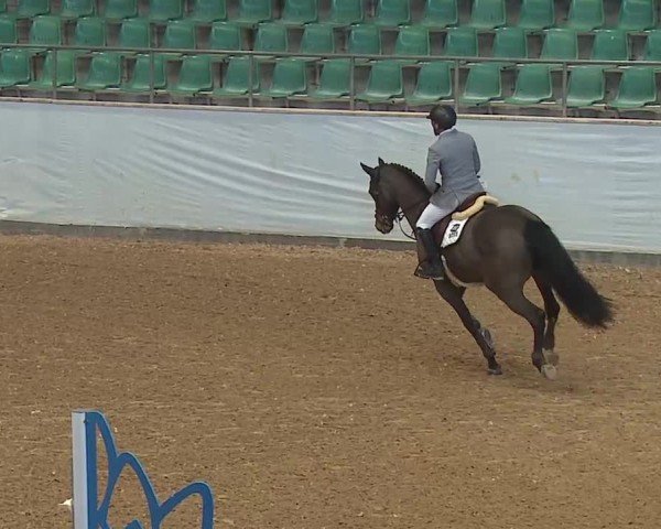 Reitturnier Kreuth/Opf. 2025