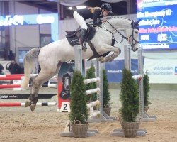 jumper Miss Moneypenny MJ (Holsteiner, 2018, from Million Dollar)