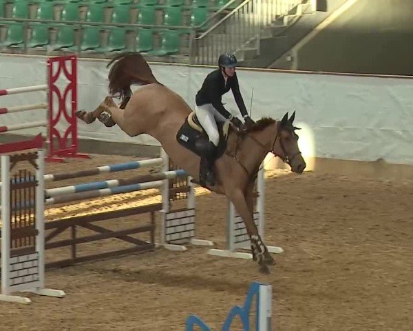 Reitturnier Kreuth/Opf. 2025