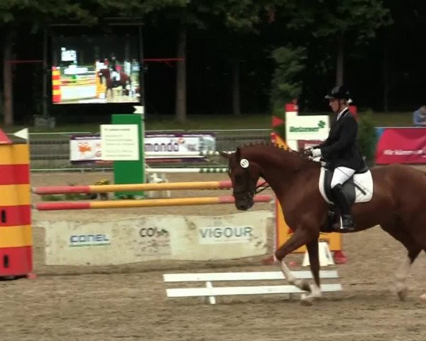 Jezdecký turnaj Mönchengladbach-Wickrath 2013