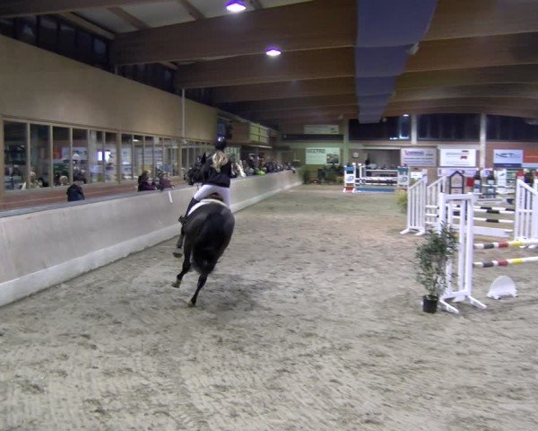 Reitturnier Heiden 2025