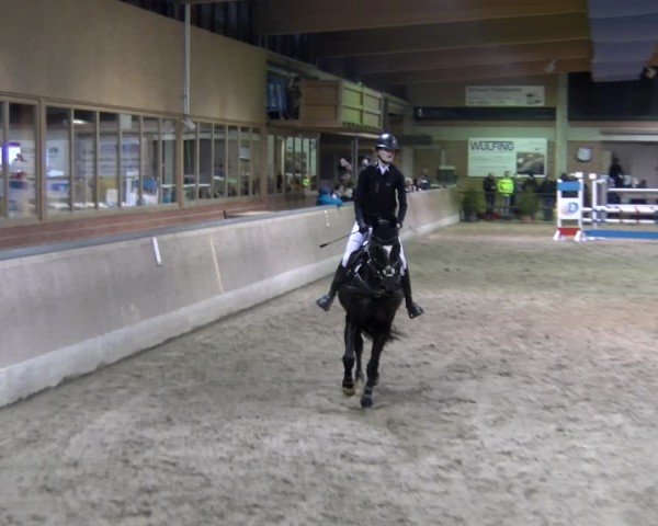 Reitturnier Heiden 2025