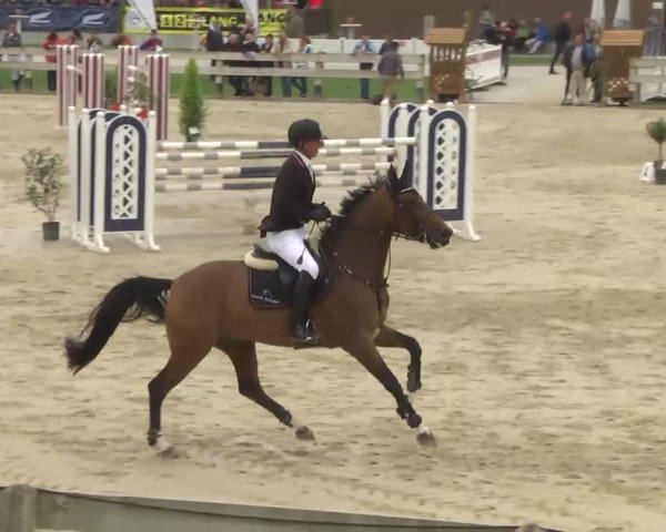 Reitturnier Linkenheim-Hochstetten 2013