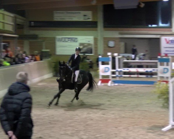Reitturnier Heiden 2025