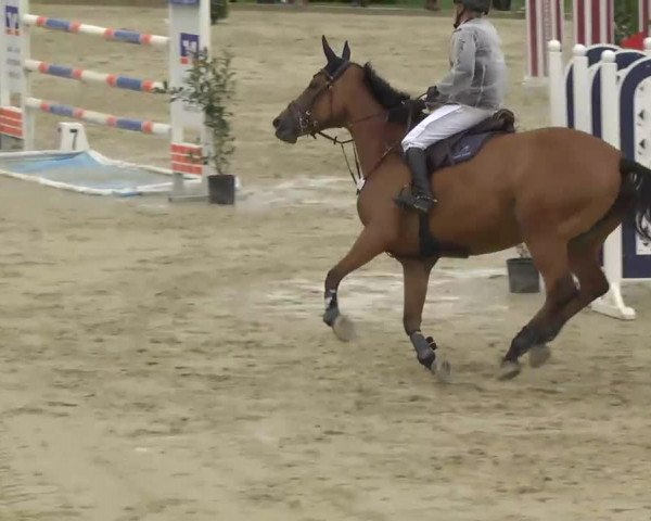 Springturnier Hubertushof RSG Linkenheim-Hochstetten 2013