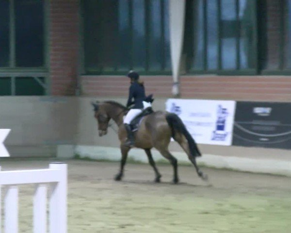 Reitturnier Heiden 2025