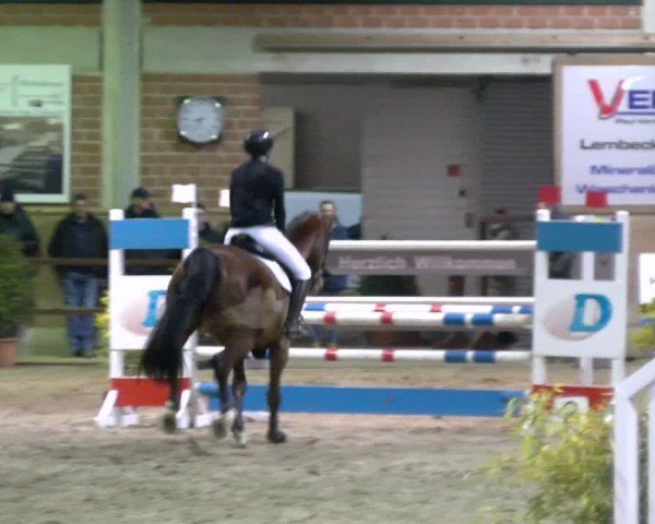 Reitturnier Heiden 2025