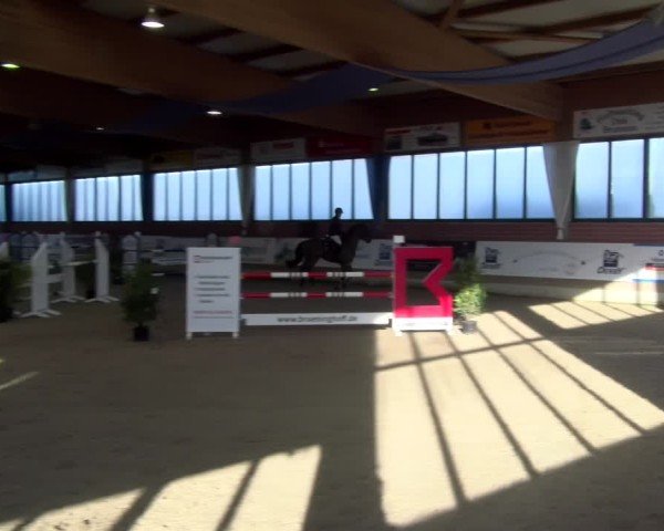 Reitturnier Heiden 2025
