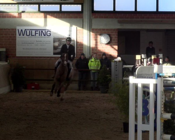 Reitturnier Heiden 2025