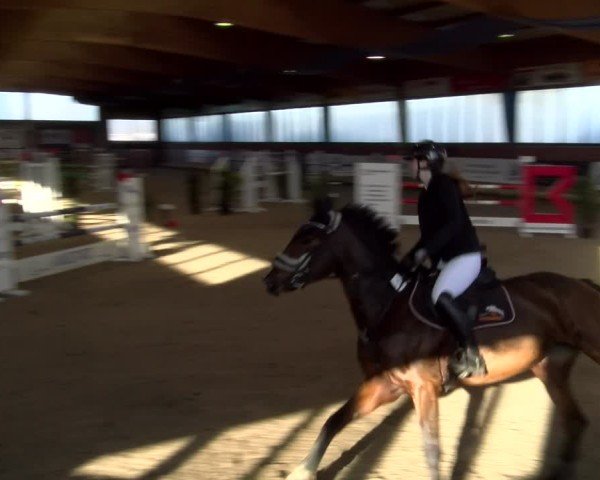 Reitturnier Heiden 2025