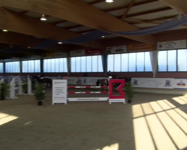 Reitturnier Heiden 2025