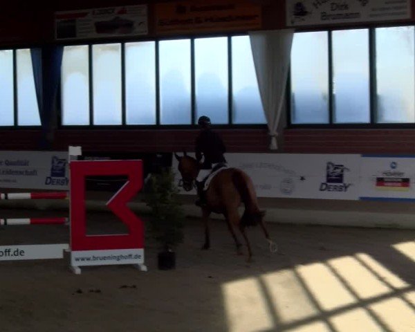 Reitturnier Heiden 2025
